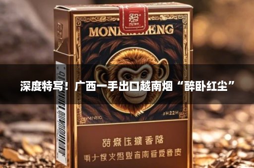 深度特写！广西一手出口越南烟“醉卧红尘”