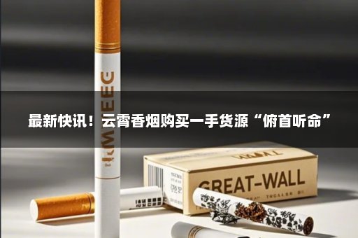 最新快讯！云霄香烟购买一手货源“俯首听命”