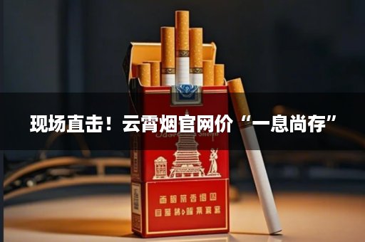 现场直击！云霄烟官网价“一息尚存”