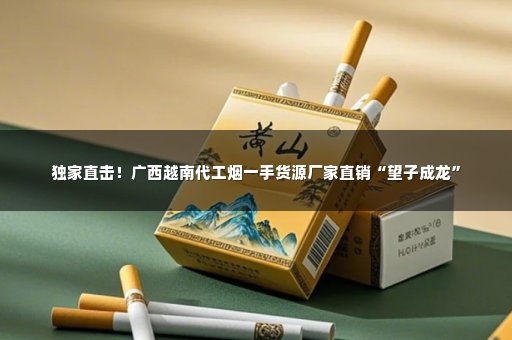 独家直击！广西越南代工烟一手货源厂家直销“望子成龙”