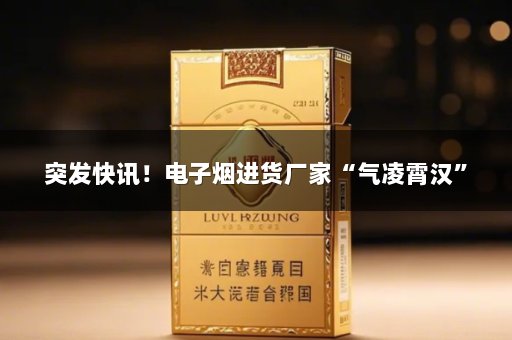 突发快讯！电子烟进货厂家“气凌霄汉”