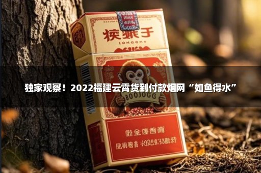 独家观察！2022福建云霄货到付款烟网“如鱼得水”